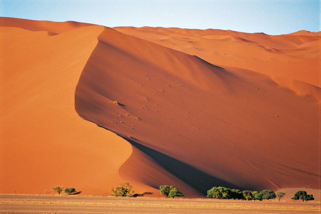 Dünenlandschaft Hapag Lloyd 