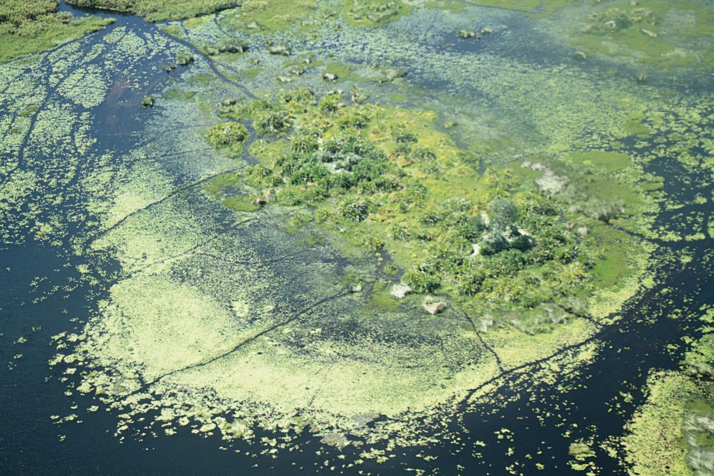 Okavango Delta Hapag Llyod